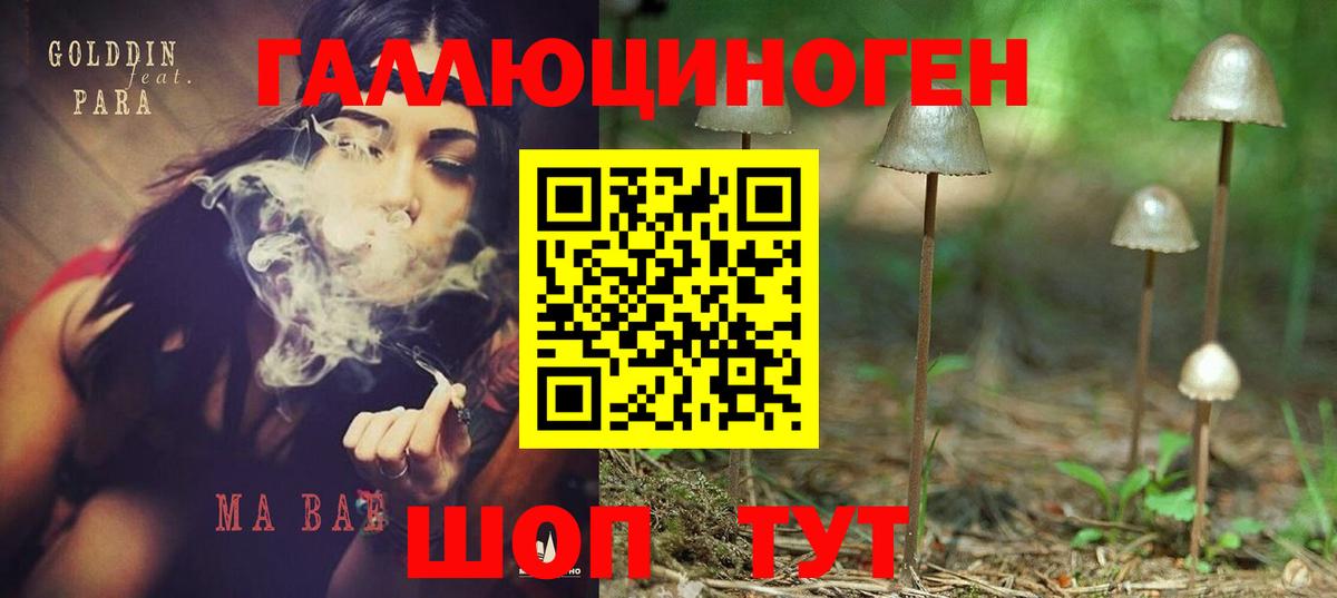 Псилоцибиновые грибы мицелий Рыбинск