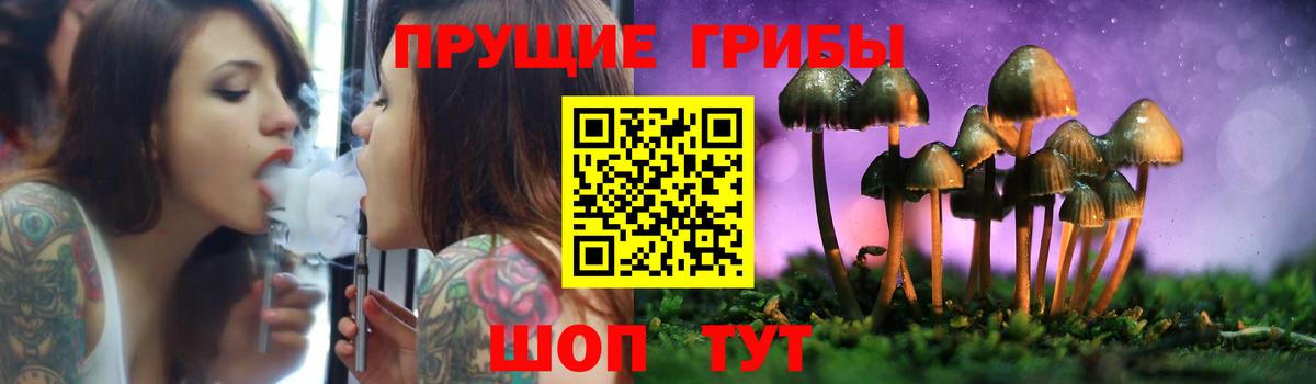 цена   Галлюциногенные грибы Cubensis  Рыбинск  Вход с VPN  Псилоцибиновые грибы прущие грибы 